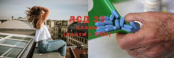 шишки Богородск