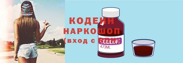эйфоретик Бородино
