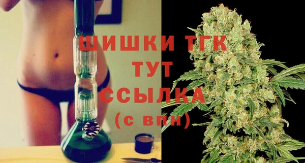 шишки Богородск