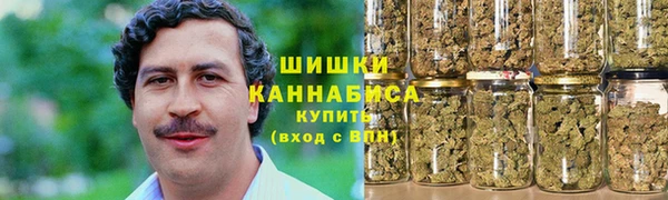 гидропоника Богданович
