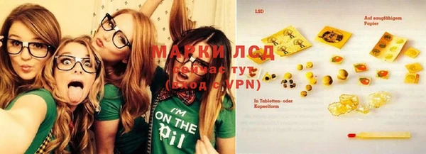 эйфоретик Бородино